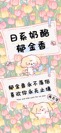 日系奶酪郁金香
