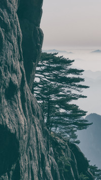 黄山甲天下