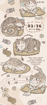 慵懒小猫咪