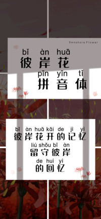 彼岸花拼音体