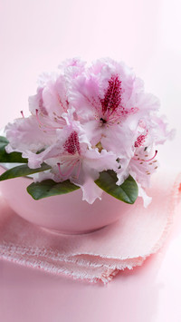 陌上花开缓缓归