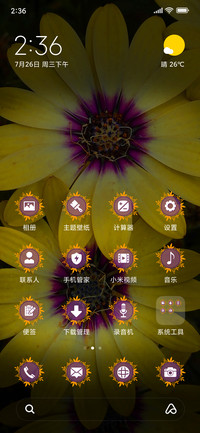 African Daisy_3MDS