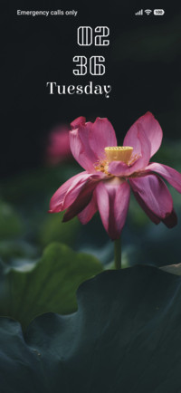 Radiant Lotus