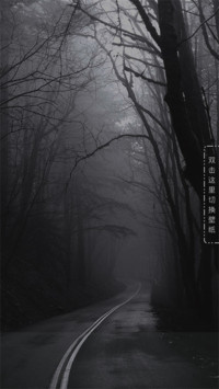 旧日时光