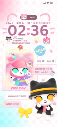 呼噜噜逗逗猫拍立得