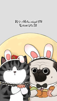 吾皇猫