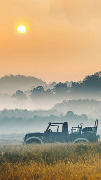 India-safari