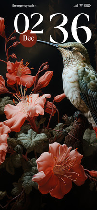 Hummingbird