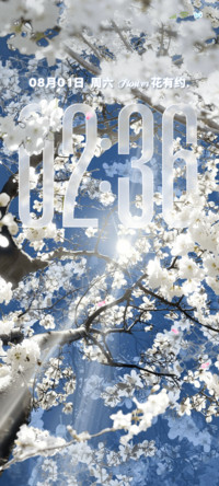 等枝桠成繁花