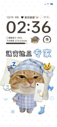 爱你被被小猫多图