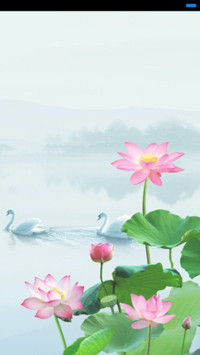 荷塘月色