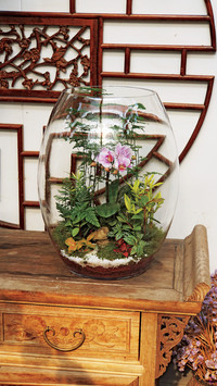 玻璃容器微景观
