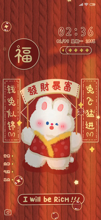 质感光影 钱兔似锦