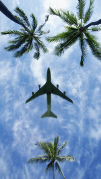 How high can the plane fly 13