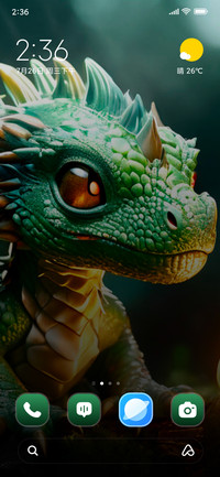 Fire Dragon