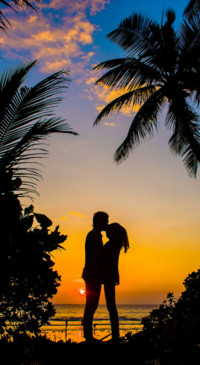 Romance (14)