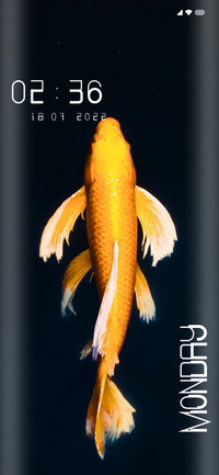 Golden Fish