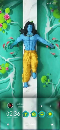 Krishna Joy