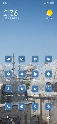 Domes