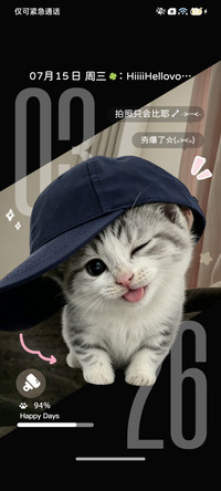小猫小狗永远滴神