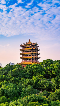 你好，武汉