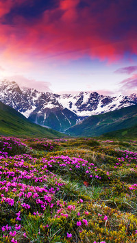上帝的后花园