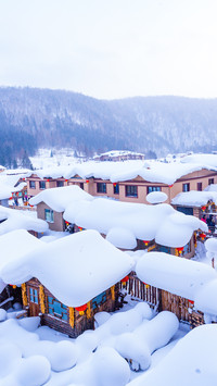 雪中盛景 一场对美的献祭