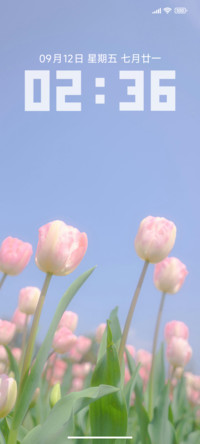 summer