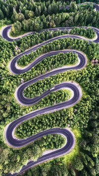 寻找自己的道路