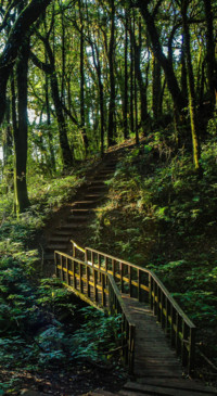Roads &amp; Pathways (49)