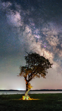 Pasture starry sky milky way