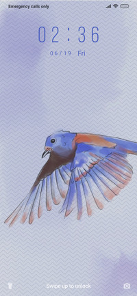Bird Minimal_3MDP
