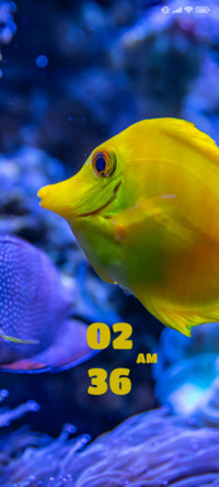 Fish