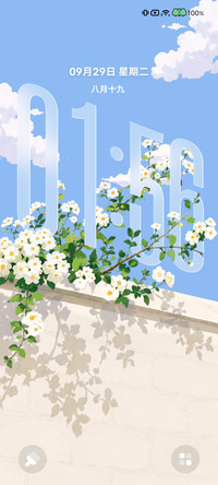 一墙繁花