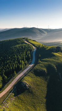 The road leads to the distance