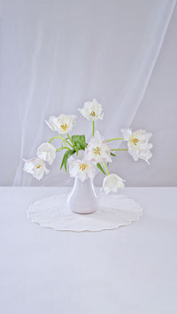 Beautiful bouquet of white tulips in a white vase