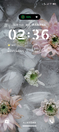 冰块琉璃花