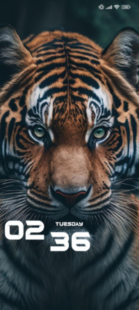 Tiger