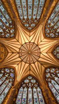Exquisite dome collection 2