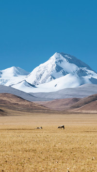 Power facilities in Tibet's highland landscape