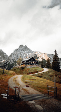 Nature B5 (36)
