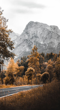 Nature B5 (25)