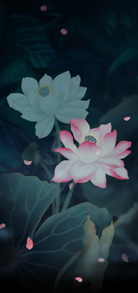 唯美古风荷塘夜色