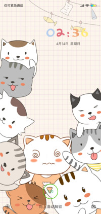 猫咪聚会
