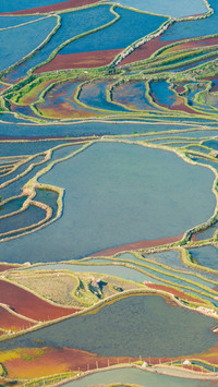 Yuanyang terraced fields cloud sea morning light