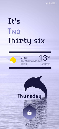 Dolphin_4