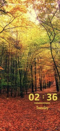 Autumn Way