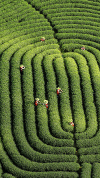 Let financial services revitalize the countryside 16