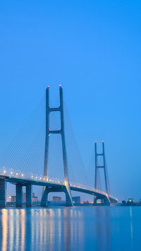 The jiujiang yangtze river cable stayed bridge at night