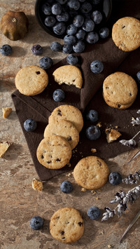 Blueberry Crispy Biscuit 1